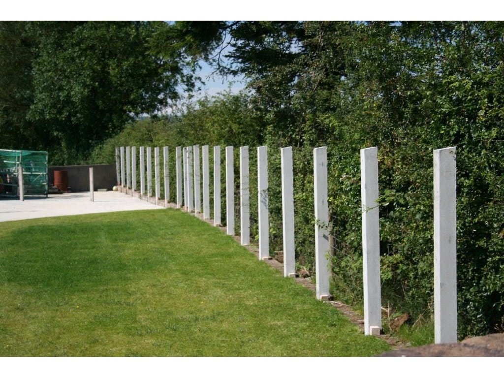 Fence Posts for Timber